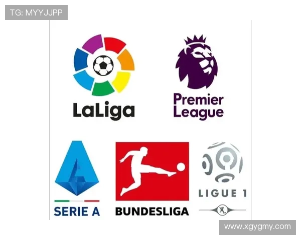 德甲掉级球队排名：2024赛季末降级形势回顾