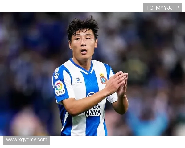 德甲球队是否有购买武磊的相关报道