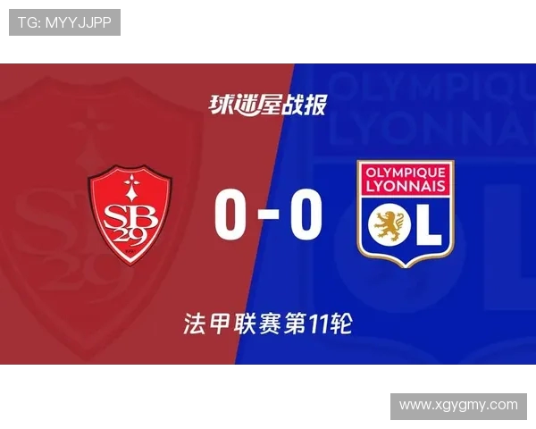 法甲里昂主场球迷支持率的统计与分析